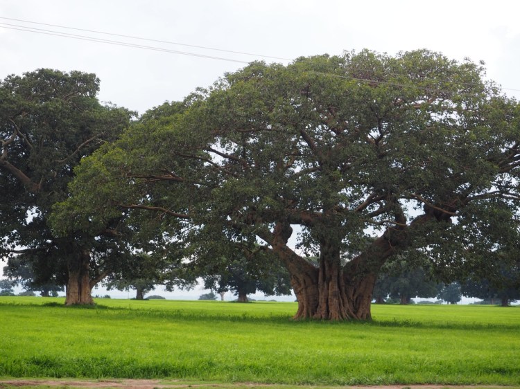 This could be England !&nbsp;