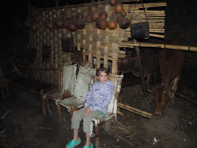 Inside the 'elephant' house - note the cow's quarters right next to the sitting room
