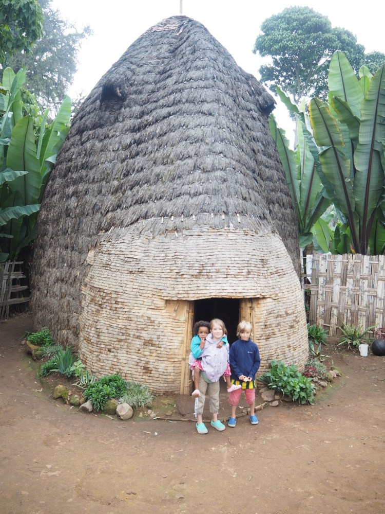 With a big pair of ears and without its trunk chopped off, it would be perfect!