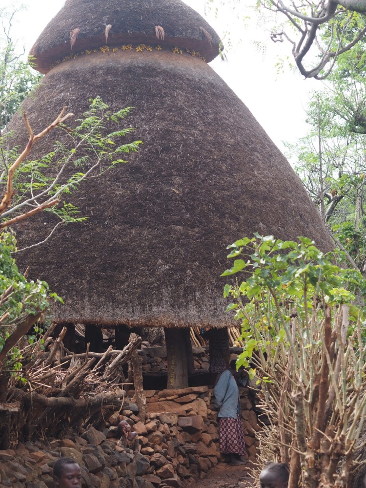 A communal house where meeting are held and where the teenage males sleep. They act as community firemen, ambulance and defenders of the village. I'd challenge anyone to find a better quality thatch, anywhere!