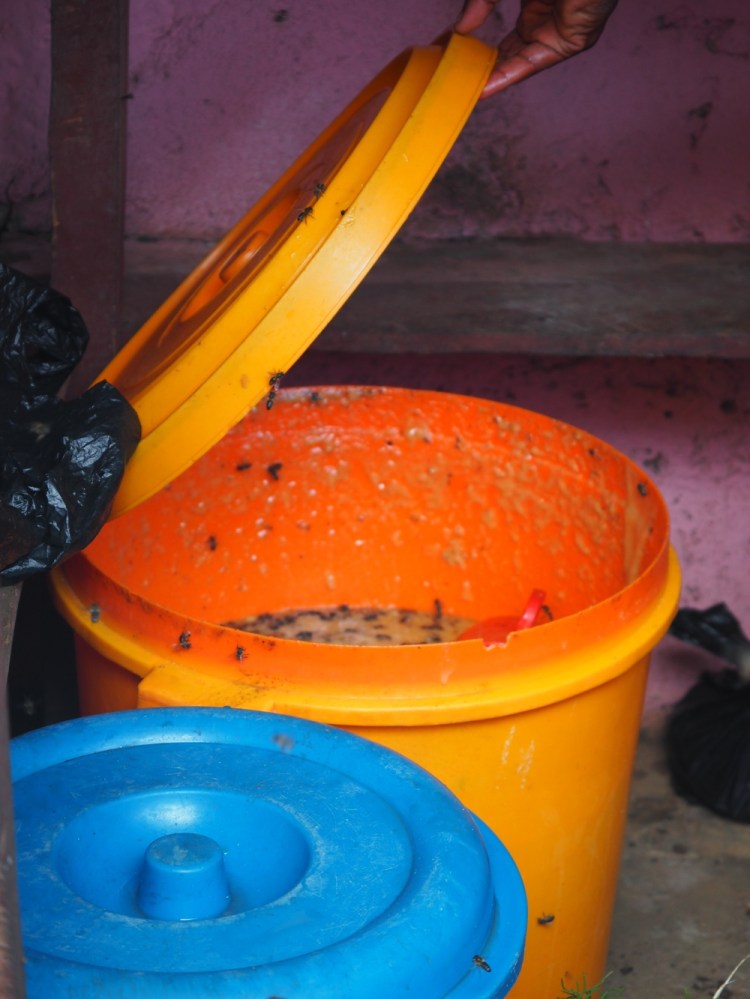 Honey doesn't get much fresher or tastier than this!