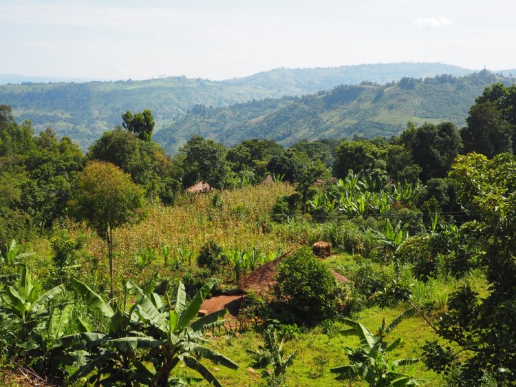 Just one of the beautiful views on the road from Jimma to Sodo