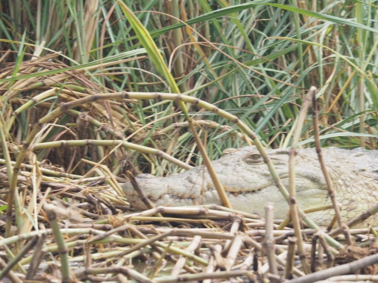 The most smiley crock ever!!!