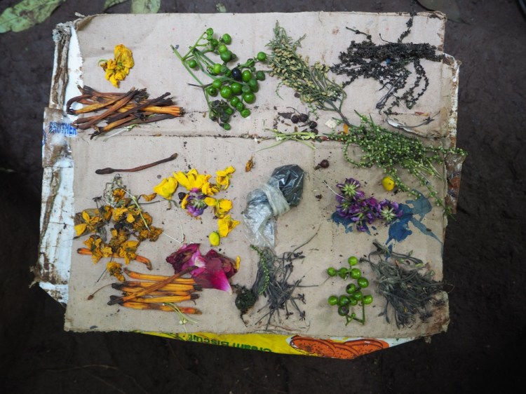 The ingredients for the paints