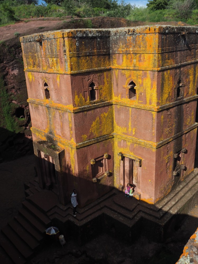 Millie and Jemima sitting just in the sunlight on the bottom right.&nbsp;