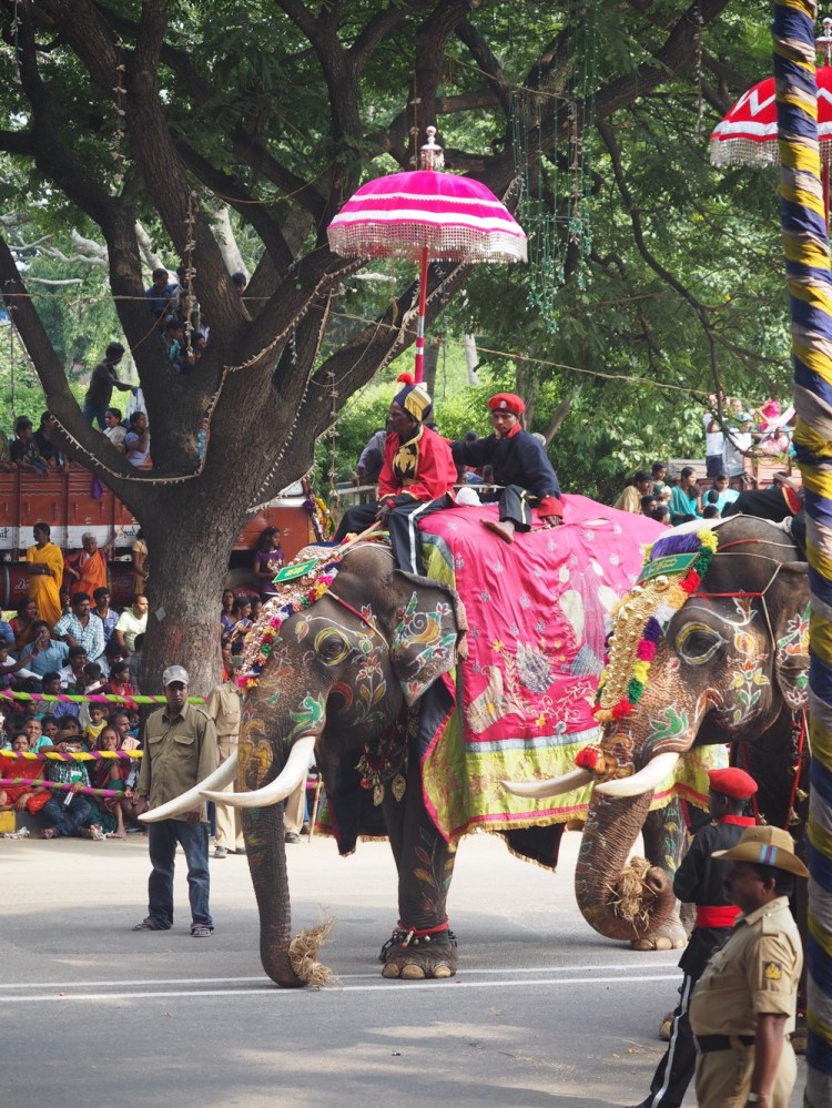 even the elephants look like they are enjoying themselves