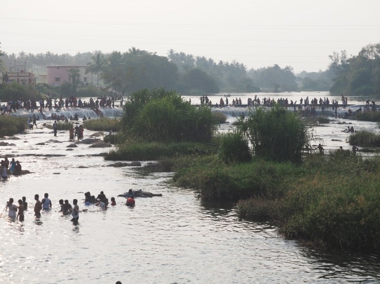 The party revellers at the river