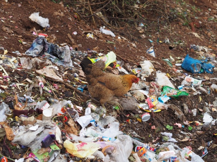 A scene that we saw over and over again, here - so sad