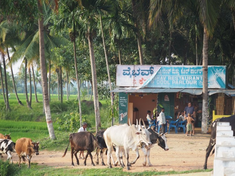 Road side shack serving fried rice and fresh fried fish&nbsp;