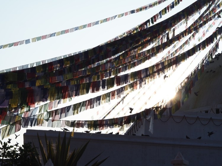 An atmospheric early morning walk around a Buddhist temple - prayer flags, chanting, candles.... and grain on sale to feed the pigeons!