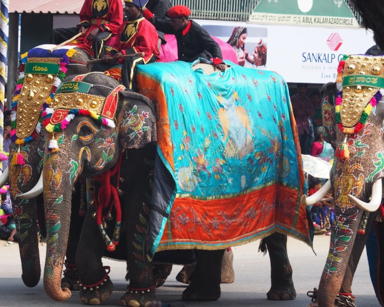 I really enjoyed Mysore - such vibrant colours - and of course we were fortunate enough to be there to catch the end of the largest festival of the year