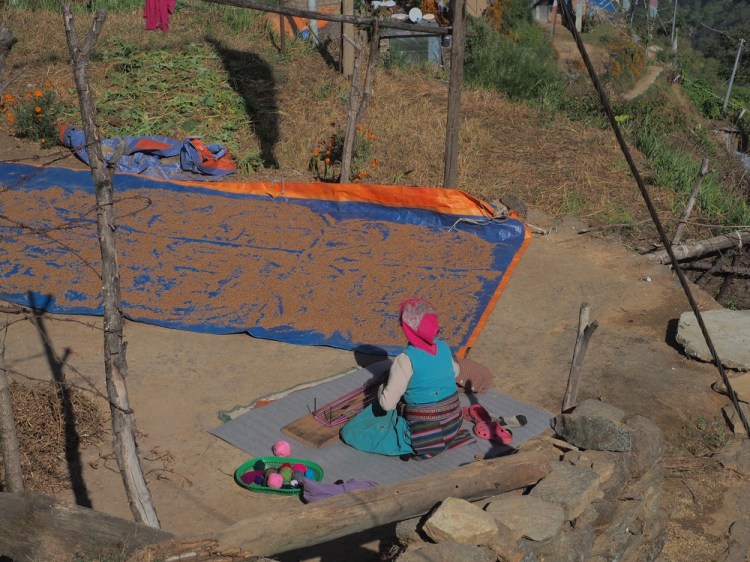 the neighbour weaves, while the corn dries