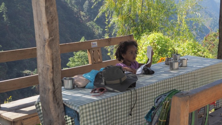A tea stop in a dappled terrace