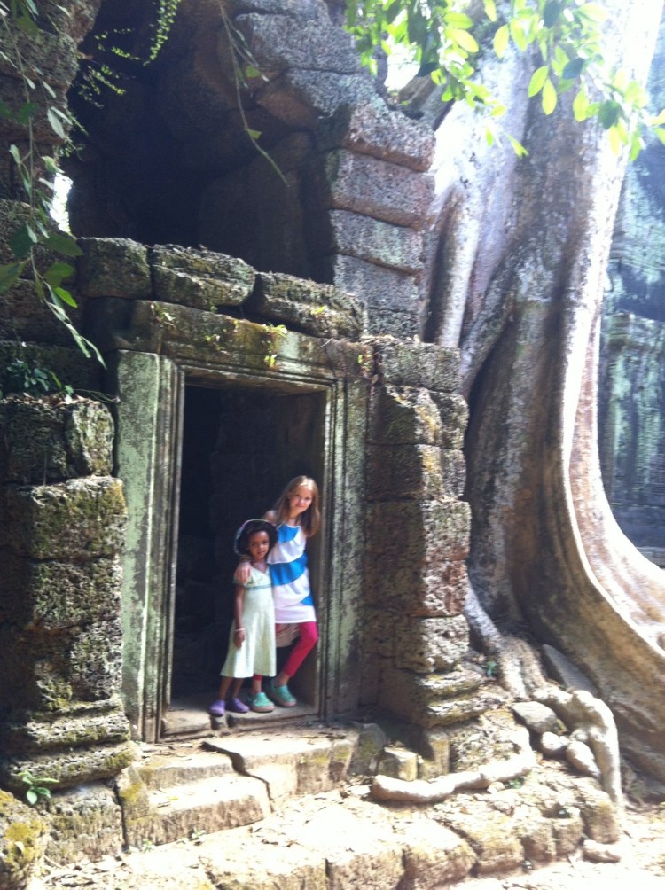 Angkor Wat - tree versus temple who will be the winner?
