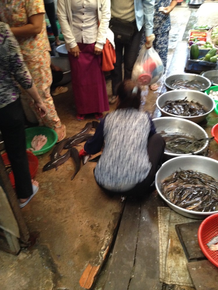Catfish making a break for freedom at Kampot market