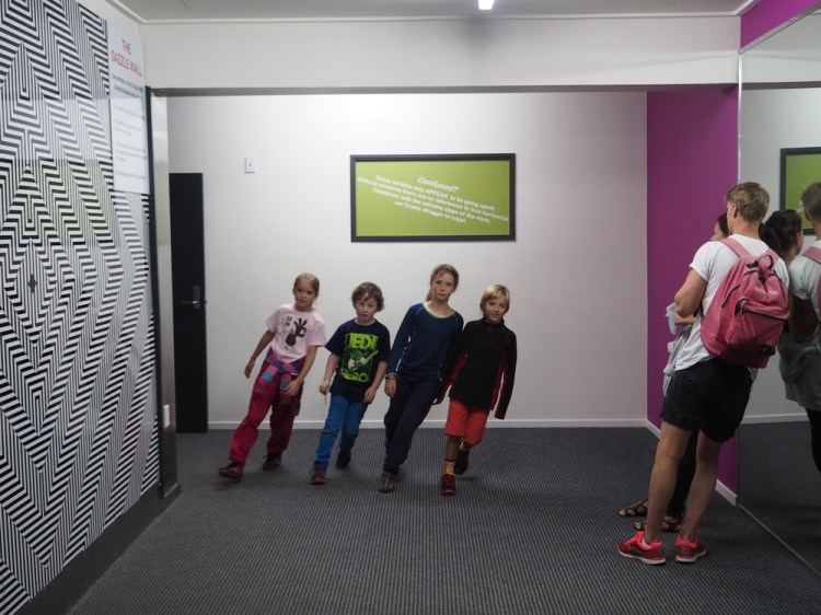 Topsy Turby World Museum at Wannaka