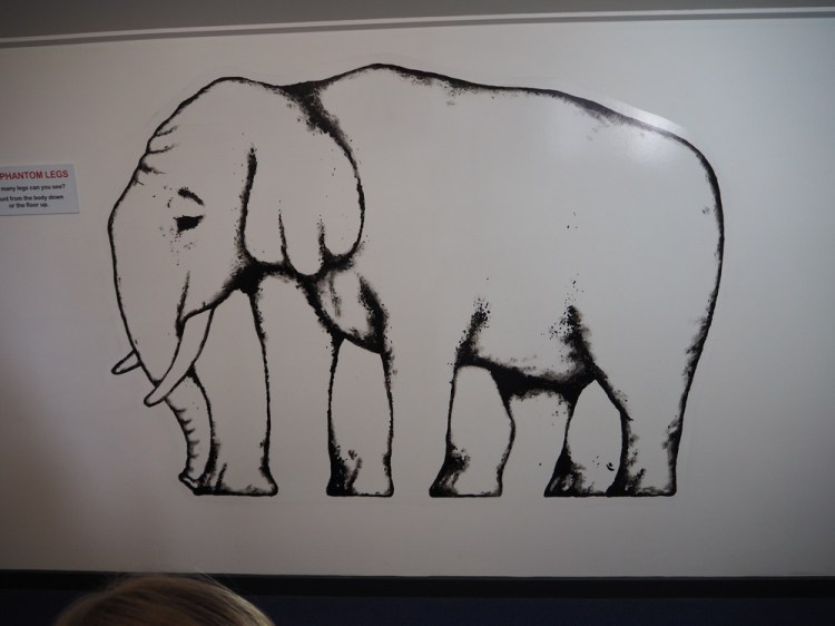 How many legs does this elephant have? 