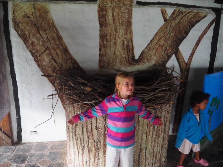 This is the condir's nest - my big sister Jemima&nbsp;