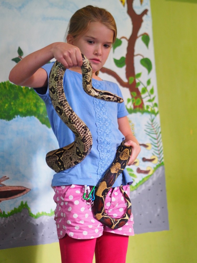 Jemima &nbsp;bravely takes hold of a boa constrictor.... I couldn't be there to watch this, so I took a walk in the park (fI) 