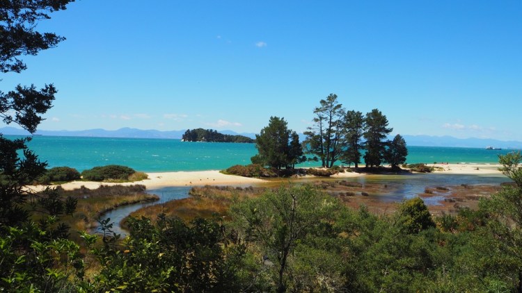 Apple Tree Bay: our stopping point for lunch and a swim. Windy and a bit choppy, but totally reinvigorating