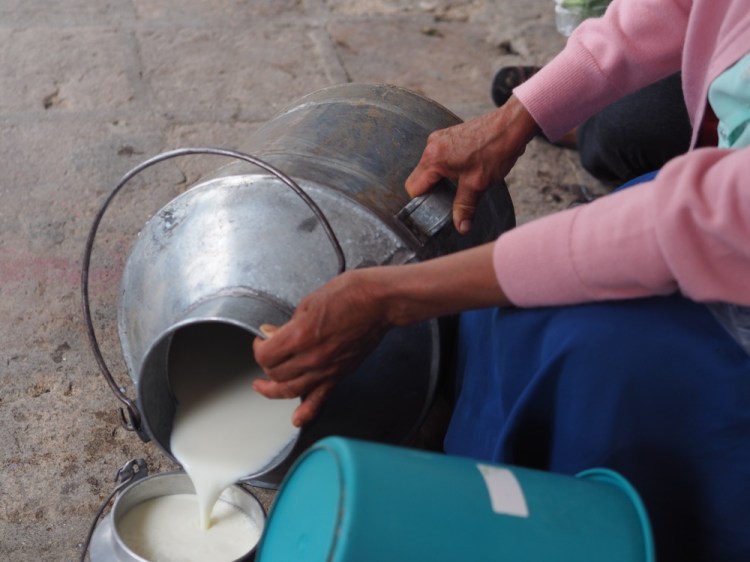 Milk being sold by the bagful in the square