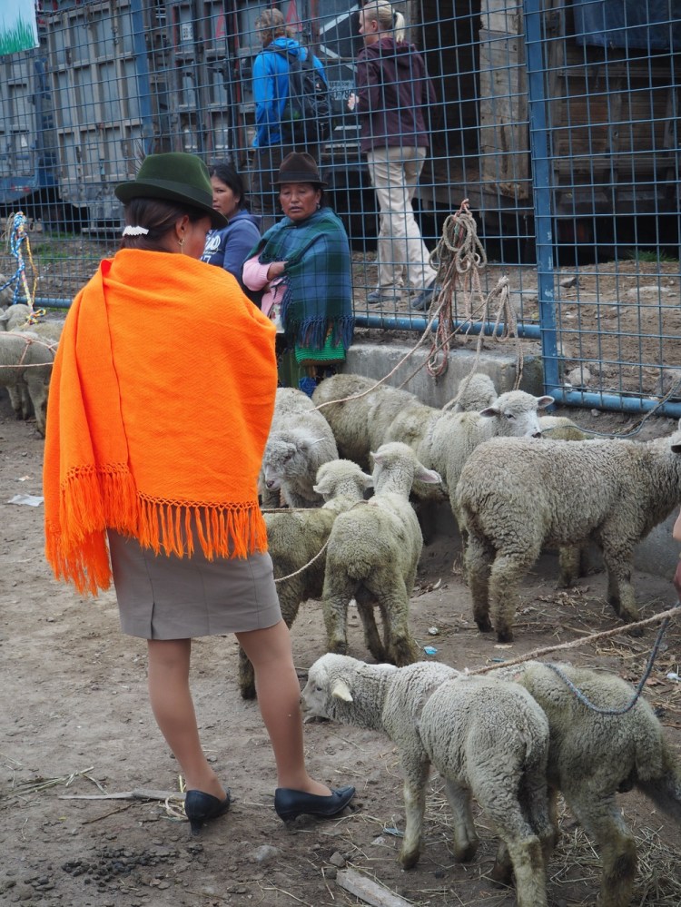An elegant lady selling her sheep