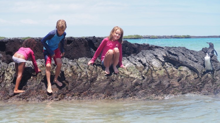 This is so typical of the wildlife here, with the iguana and penguins not batting an eyelid as our children clamber over the rocks