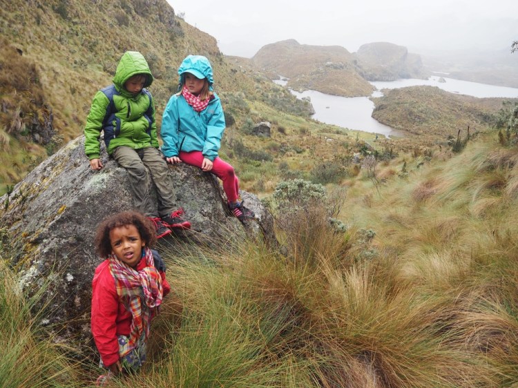 Our walk in Cajas national park - as you can see, Millie is loving it!