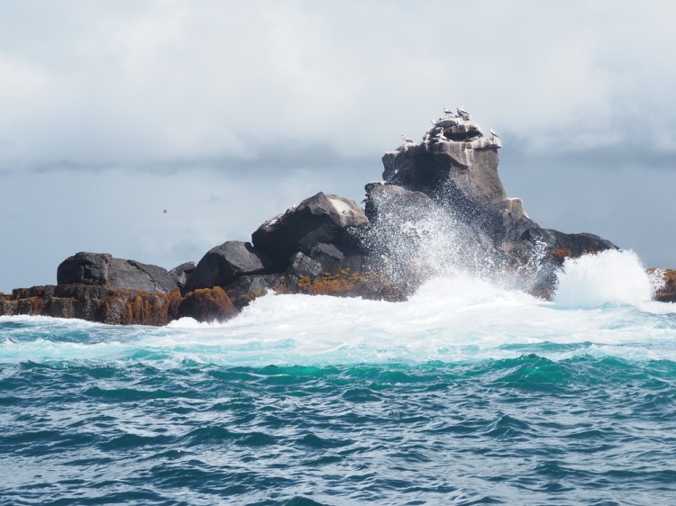 Union Rock - a very large, random hunk of rock in the middle of nowhere. Handy for the seabirds, though.