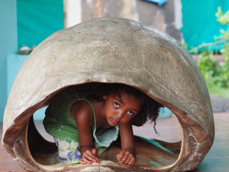 They'll never find me in here! 