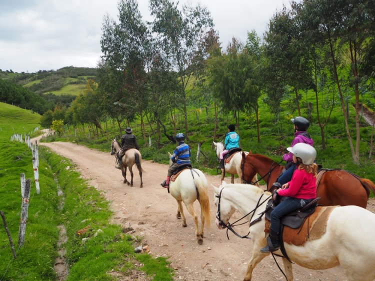 Setting off on a hack, it all starts well