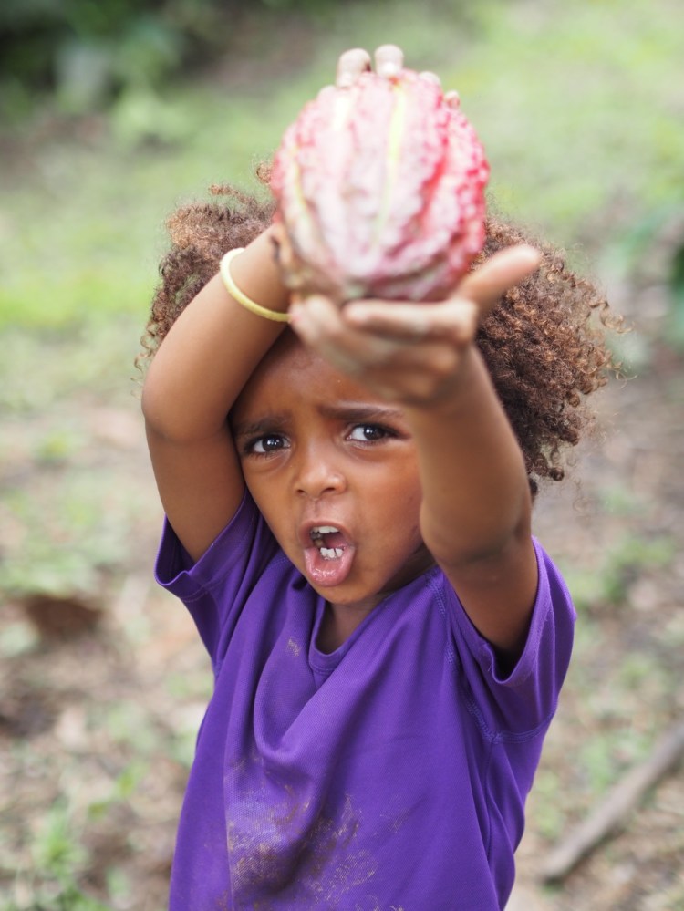 Look at my cacao pod!