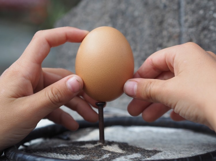 Me balancing an egg on a nail at the equator  &nbsp;