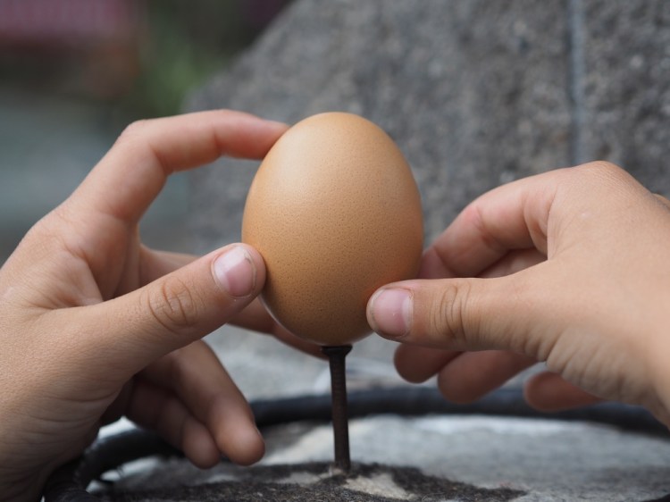 Balancing an egg on a nail is tricky, even on the equator!