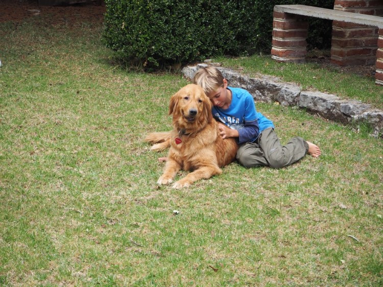 Gabriel is happy with dogs and a garden! 