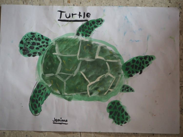 my picture of a turtle