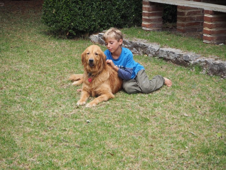 I love Ginger but he has fleas