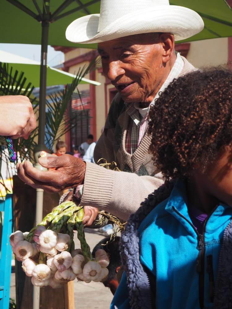 Vendor sells bundles of fresh garlic, wearing his San Cristobal hat