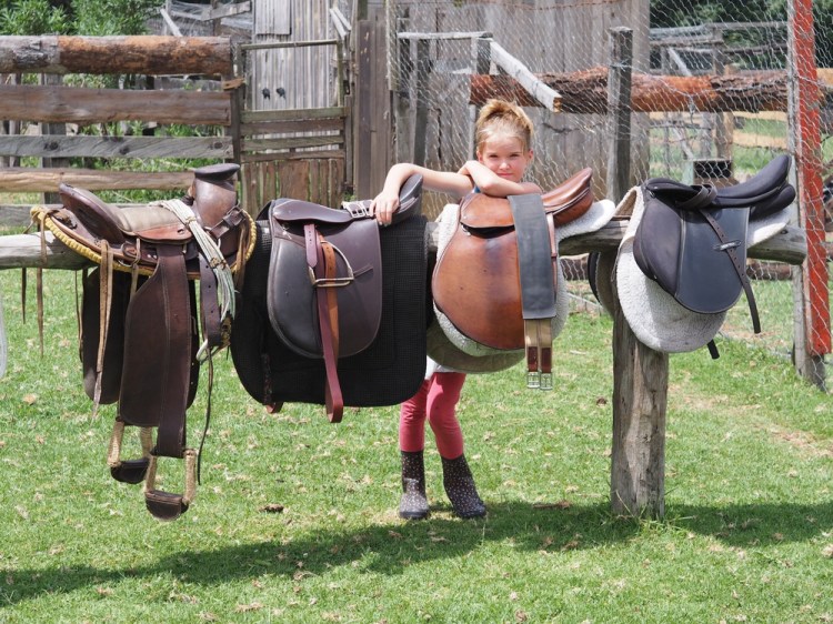 All lined up and ready to go, except the dads are discussing politics