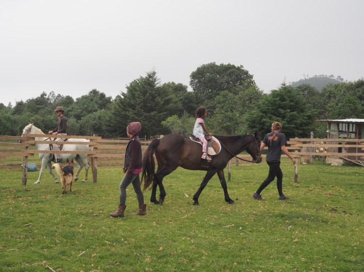 Millie completely nonplussed by this riding business, would far rather be playing with the puppies. - Heidi and Laura.