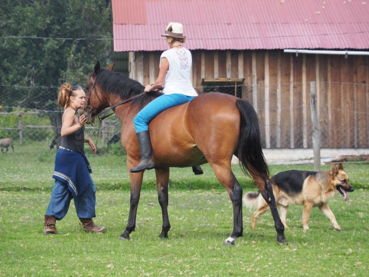 I am feeling very pleased to be learning new skills