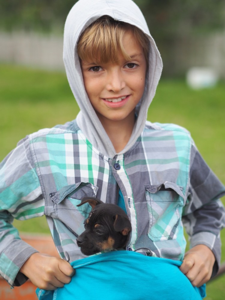 Please can we take a puppy mummy  