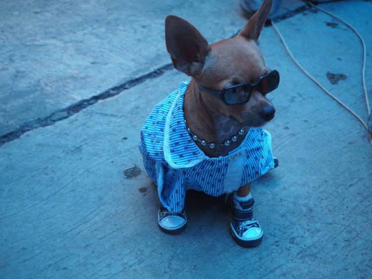 Isn't it just rediculus!!! 