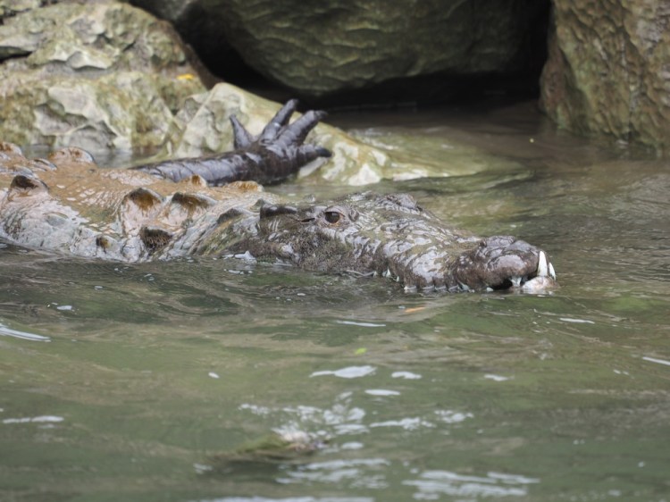 I wasn't expecting to see this guy!&nbsp;