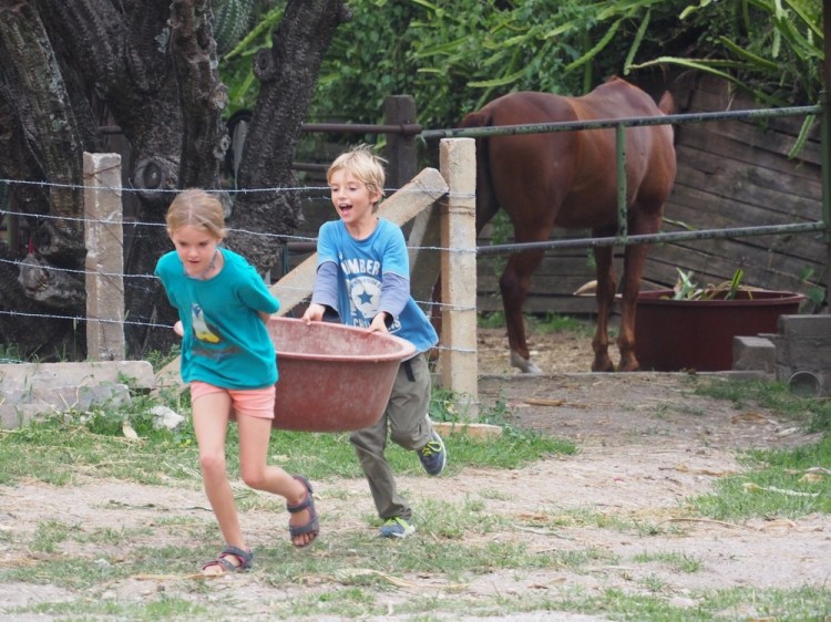 Helping to feed and muck out the horses