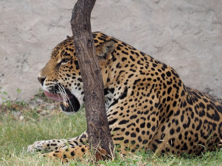 What beautiful spots!! 