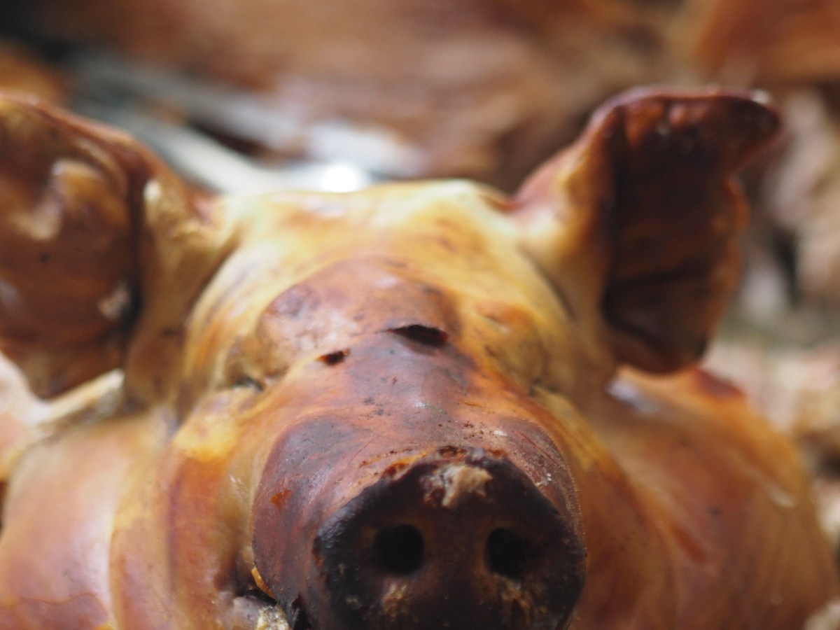 Ecuador – Otavalo – one little piggy went to the market followed by three little&nbsp;children