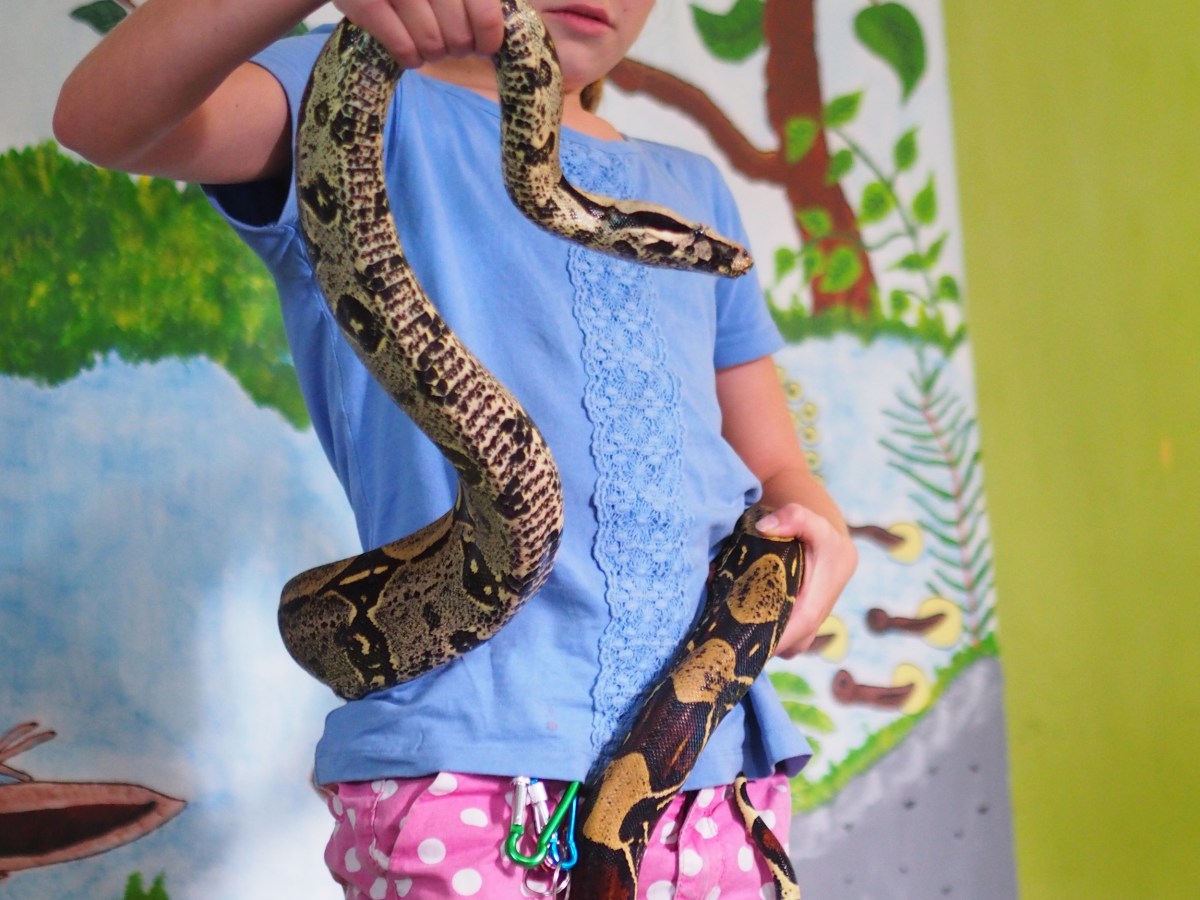 Ecuador 1 -La Mitad Del&nbsp;Mundo