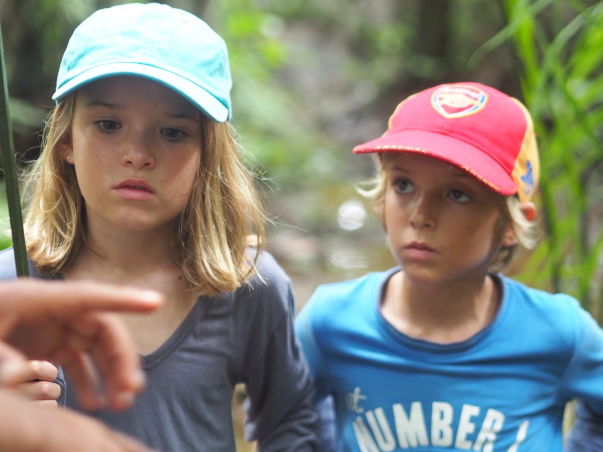 Ecuador  – The&nbsp;Amazon