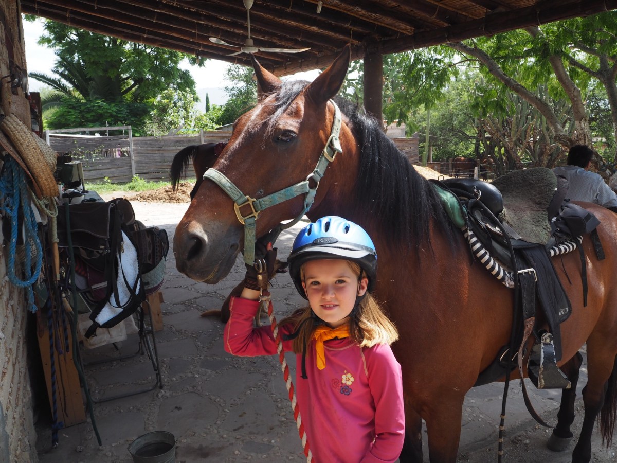 Mexico – What lovely&nbsp;Horses